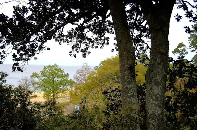 Earth Day at the Fairhope Pier