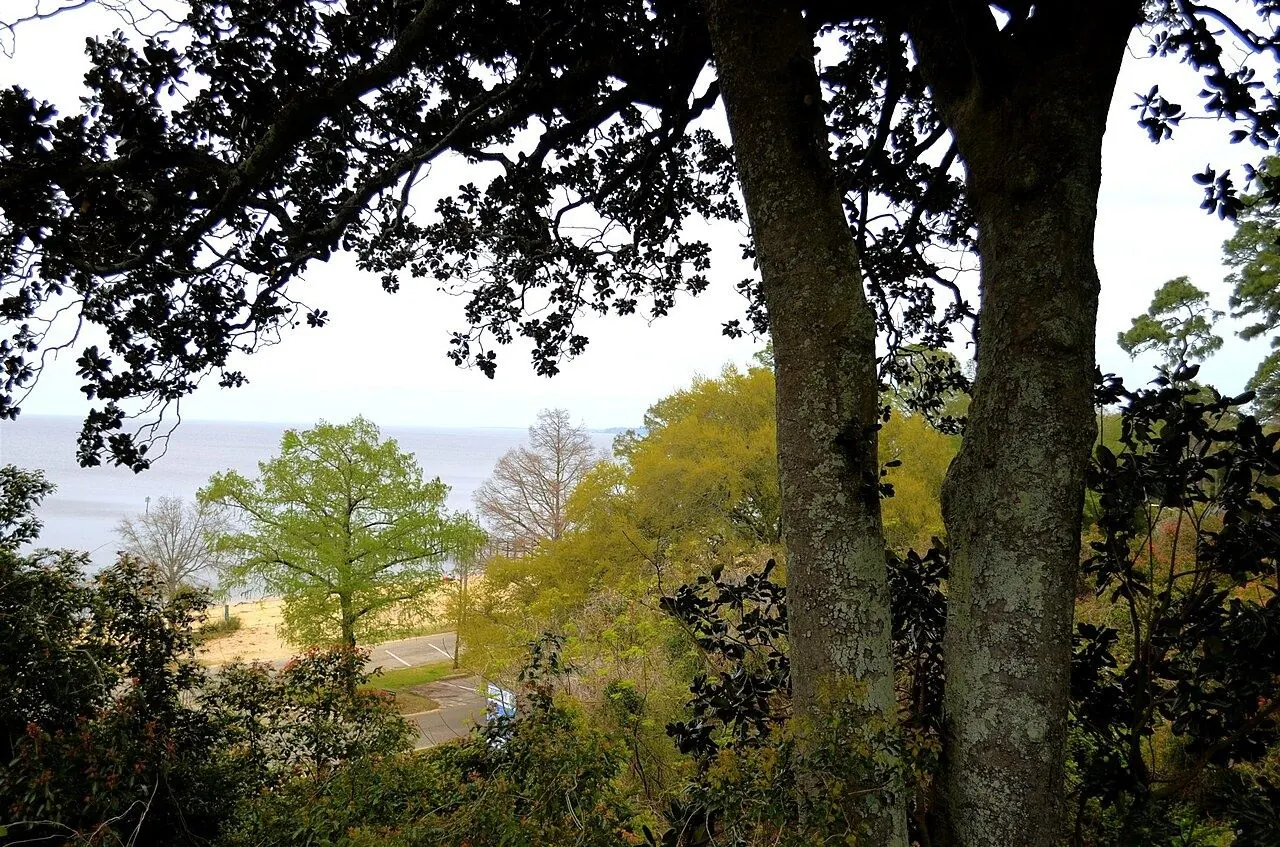 Earth Day at the Fairhope Pier
