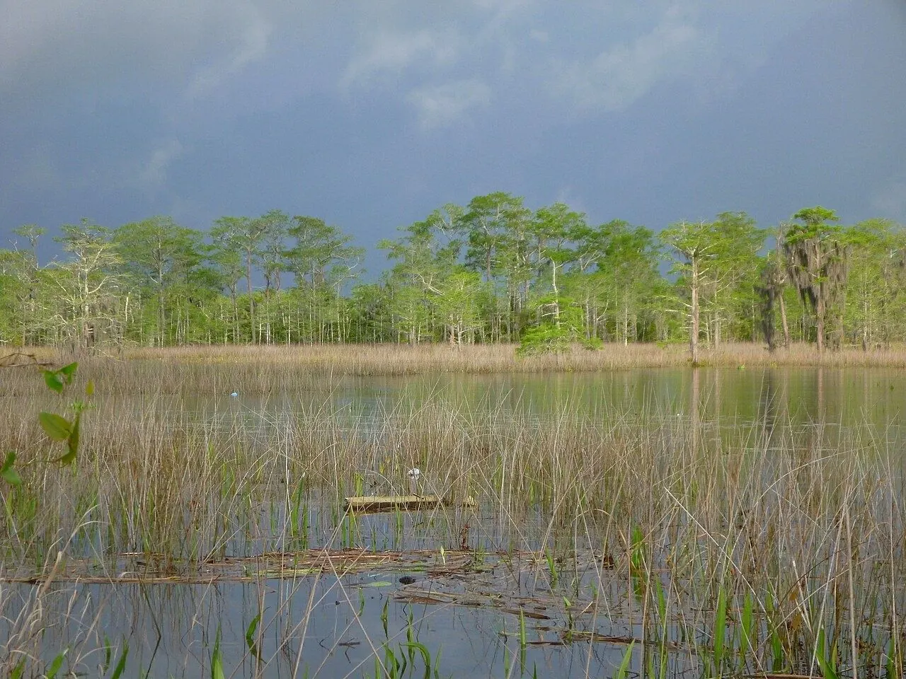 Smart Coast Initiatives