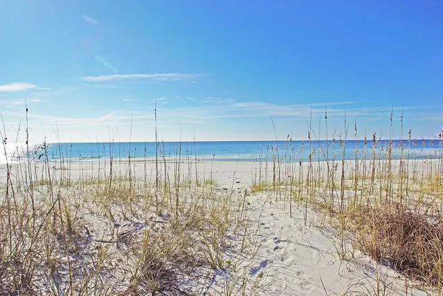 A view of the Gulf through the reeds