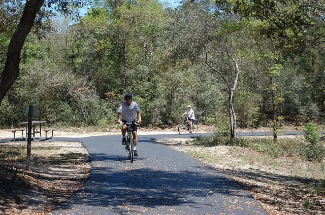 Paved bike trail through coastal pine forest and marsh
