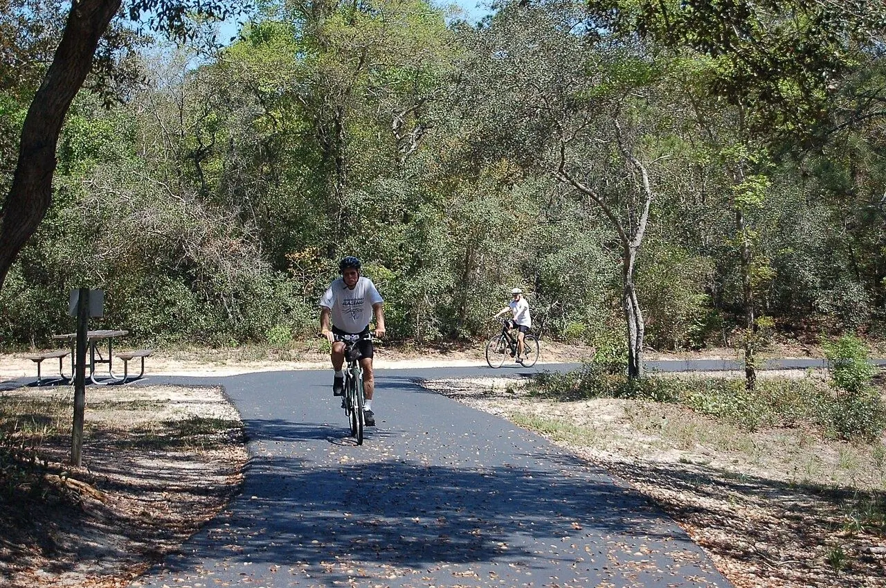 Paved bike trail through coastal pine forest and marsh