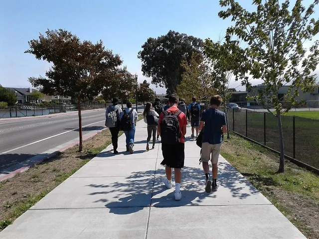 Children walking to school with adult volunteers