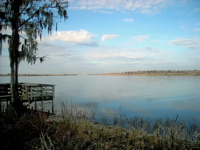 Kayak on a cypress-lined bayou in the delta